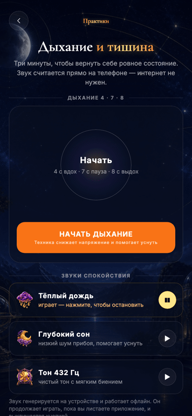 Практики